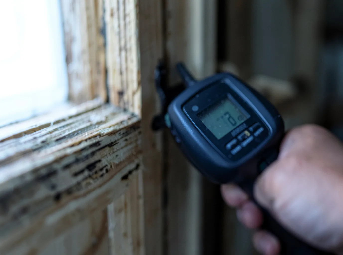 Moisture Inspection And Documentation in Hermitage, AR